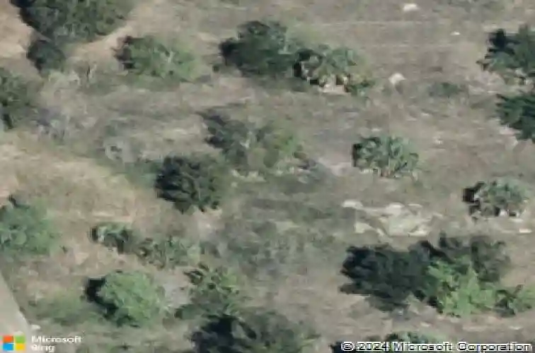  winter haven,  FL 33881