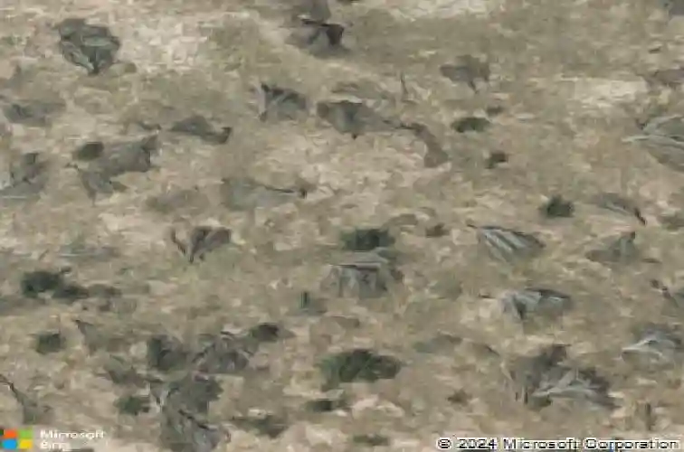 215 glen cook dr, laredo,  TX 78041