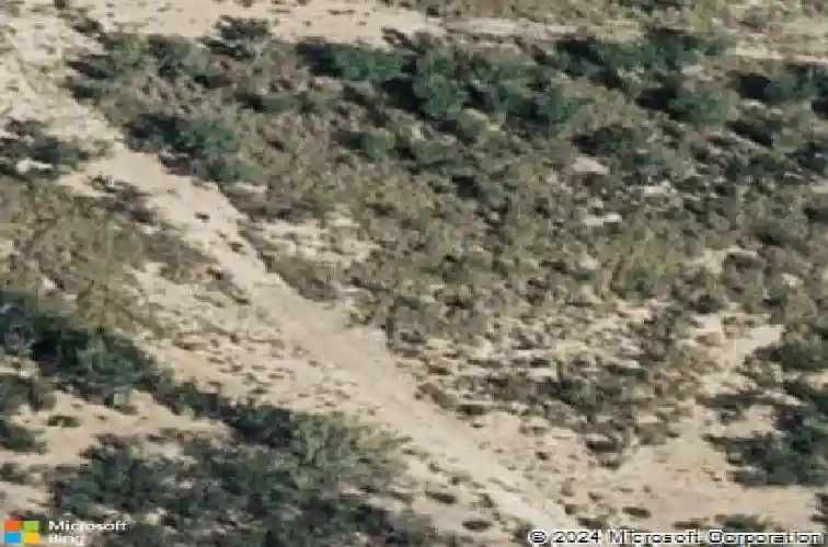 6001 leopoldo dr, laredo,  TX 78043