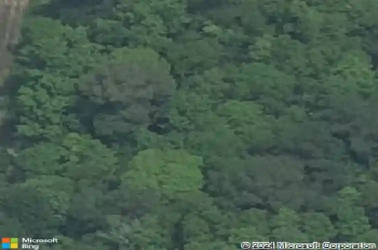 213 zachary ln, bridge city,  TX 77611