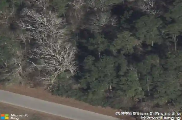  new caney,  TX 77357