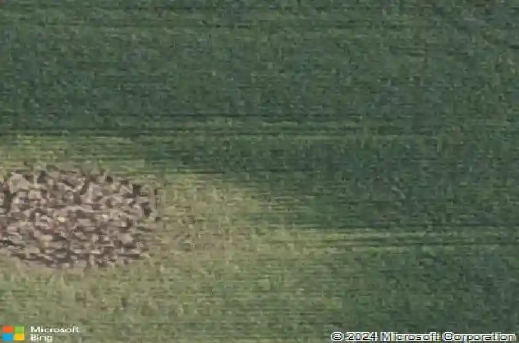 1275 cedar springs dr, marion,  IA 52302