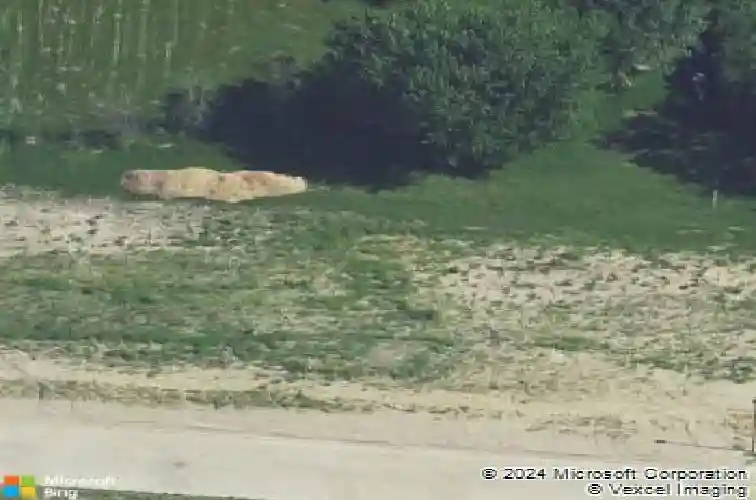 1614 foxborough dr, marion,  IA 52302