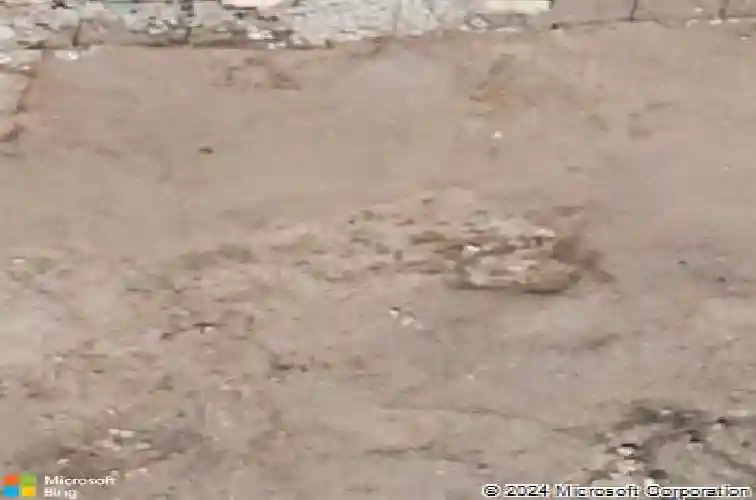  henderson,  NV 89052