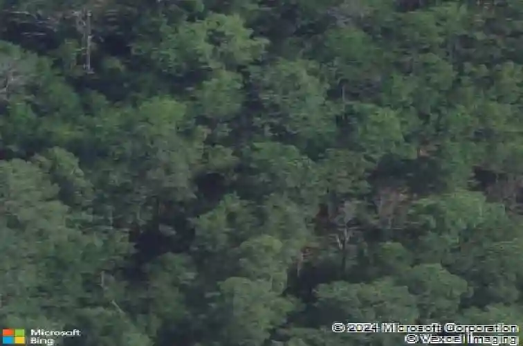 415 n brickyard rd, columbia,  SC 29223