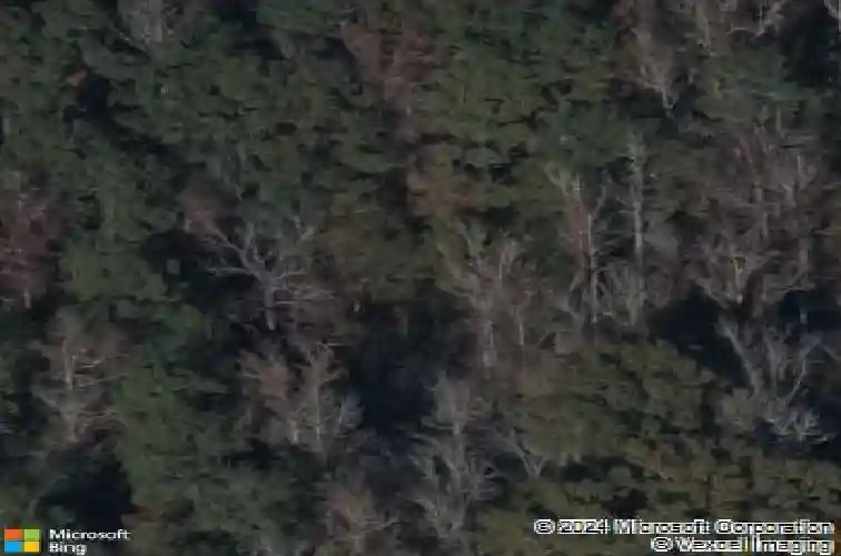 865 scarlet oak rd, blythewood,  SC 29016