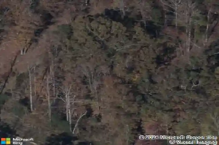 882 scarlet oak rd, blythewood,  SC 29016