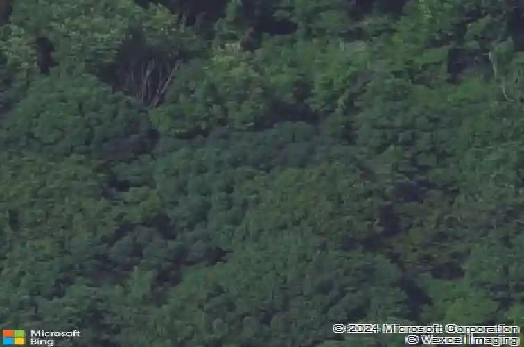 3903 pioneer ave se, cedar rapids,  IA 52403