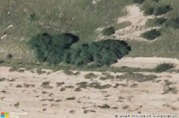 11312 basque dr, laredo,  TX 78045