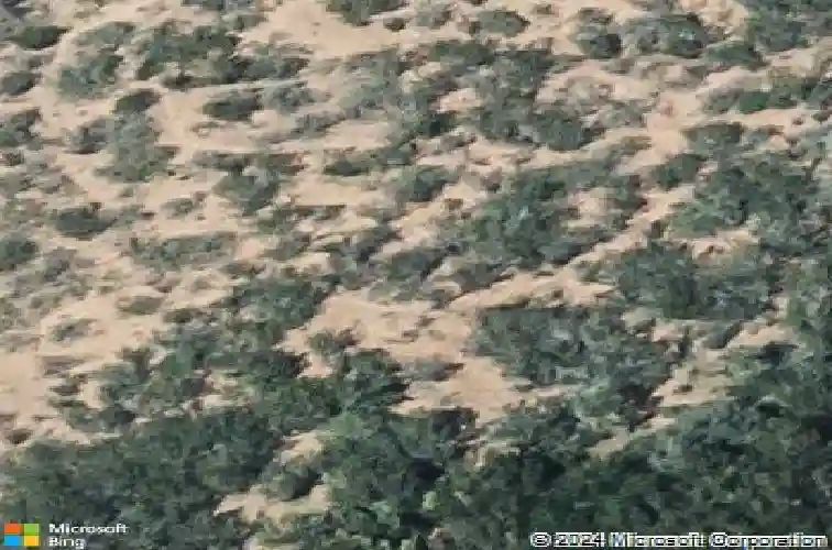 1618 ann harbor st, laredo,  TX 78045