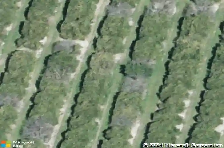  auburndale,  FL 33823