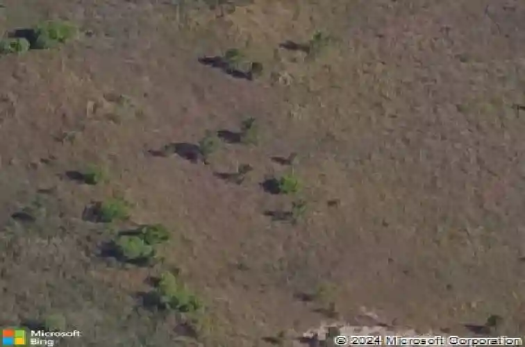  kissimmee,  FL 34759