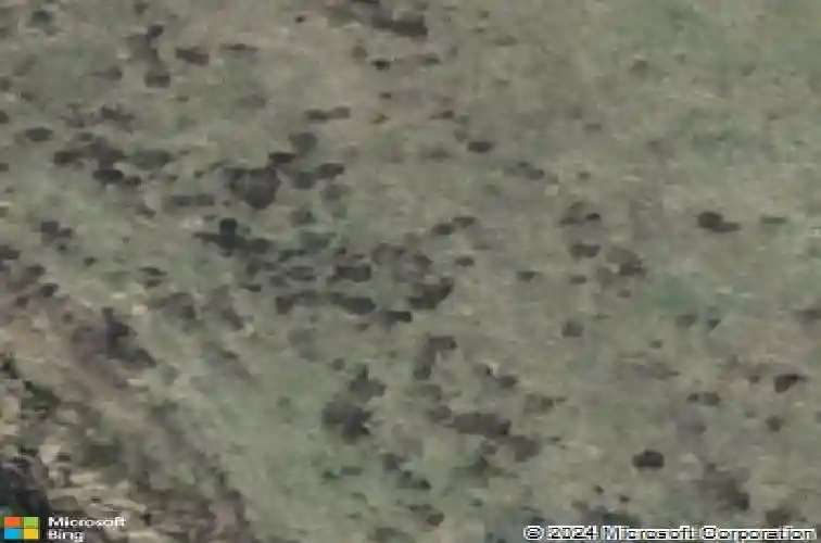  haines city,  FL 33844