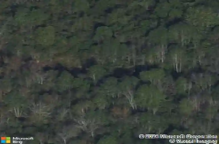 907 nease rd, guyton,  GA 31312