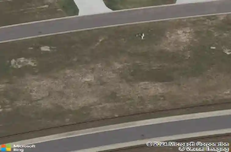 3273 dzuro dr, oxford,  FL 34484