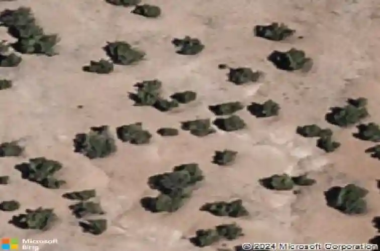 7 via vitae, santa fe,  NM 87507