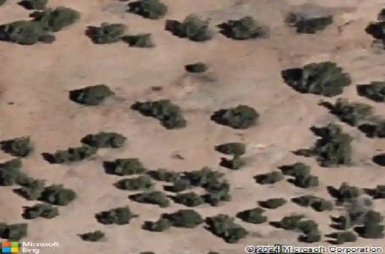 9 via harena, santa fe,  NM 87507