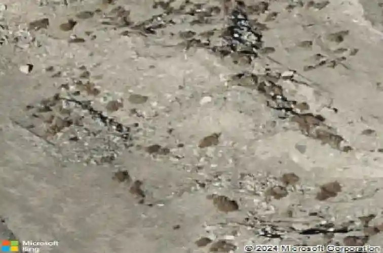  henderson,  NV 89044