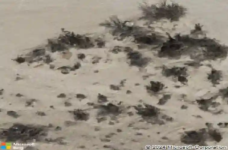  north las vegas,  NV 89084