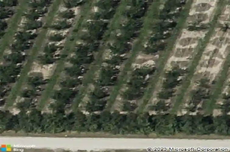  winter haven,  FL 33881