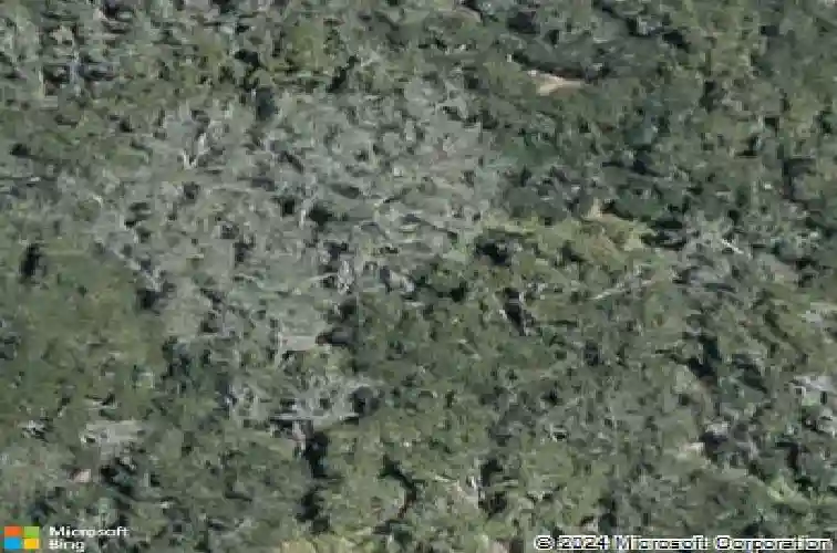  winter haven,  FL 33881