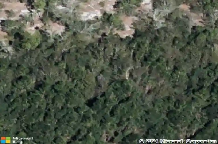  winter haven,  FL 33881