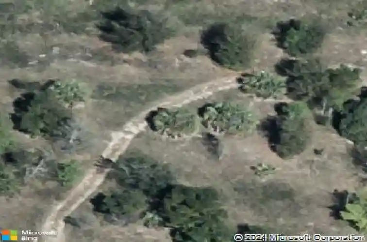  winter haven,  FL 33881