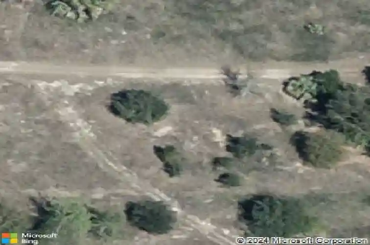  winter haven,  FL 33881
