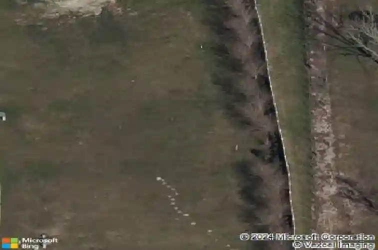 10351 addison shore way, oxford,  FL 34484