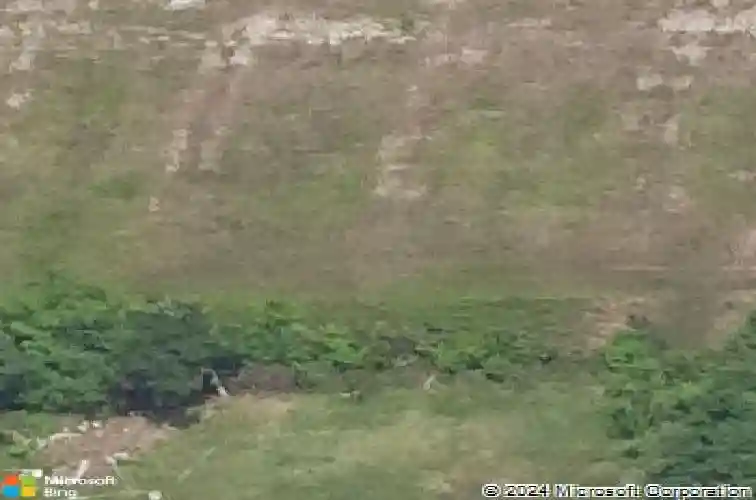 555 tryson ln, bridge city,  TX 77611