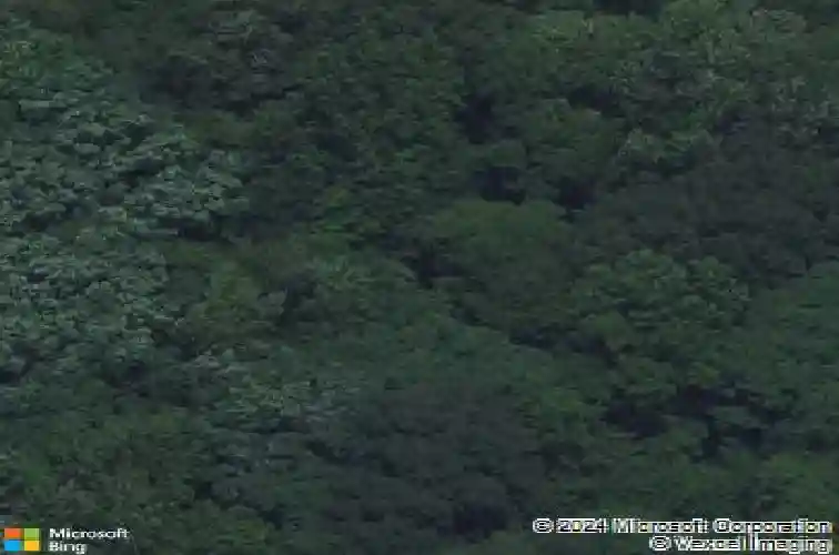 3055 forrest hill ct, hiawatha,  IA 52233