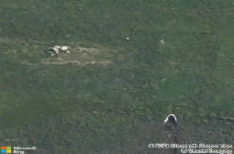 3037 royal oak ridge rd, marion,  IA 52302