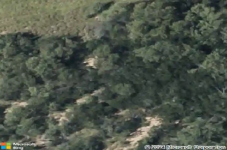 1002 larvotto loop, laredo,  TX 78045