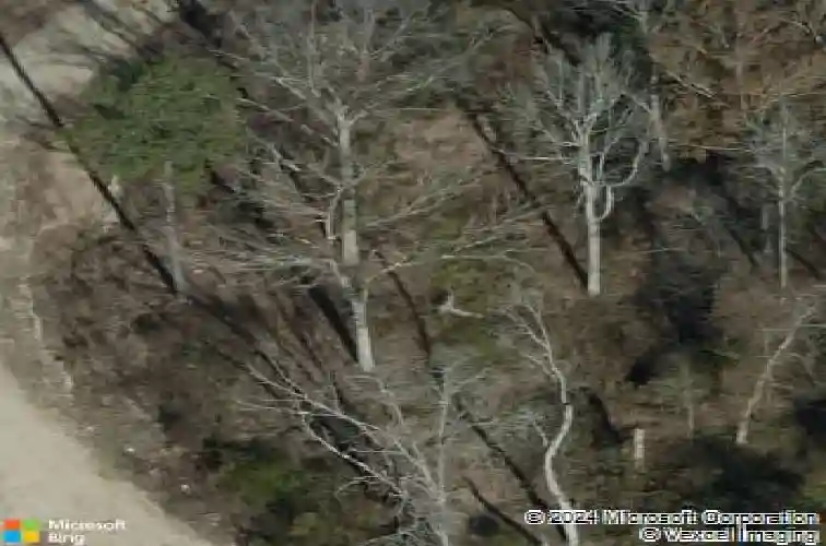 200 cedar hollow ln, irmo,  SC 29063