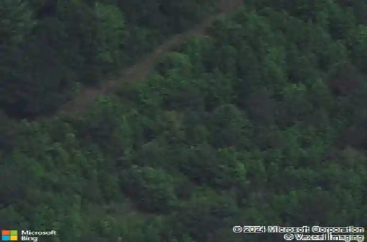 204 liberty ridge dr, elgin,  SC 29045