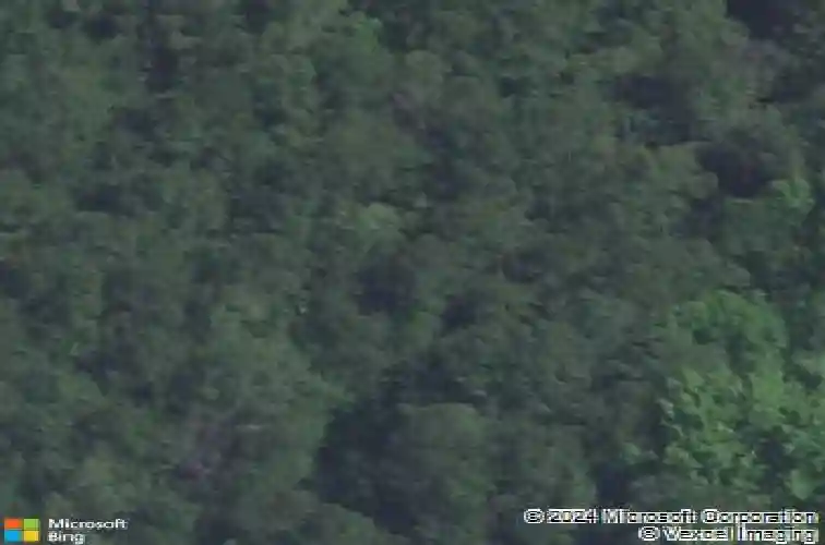 641 ross rd, columbia,  SC 29223