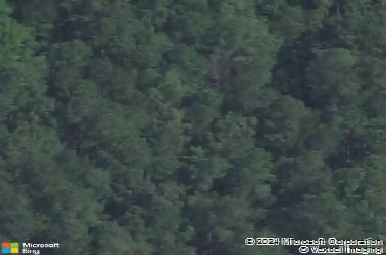 633 ross rd, columbia,  SC 29223