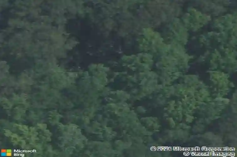 663 ross rd, columbia,  SC 29223