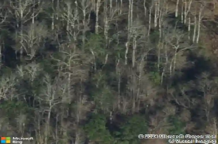 158 huger st, rincon,  GA 31326