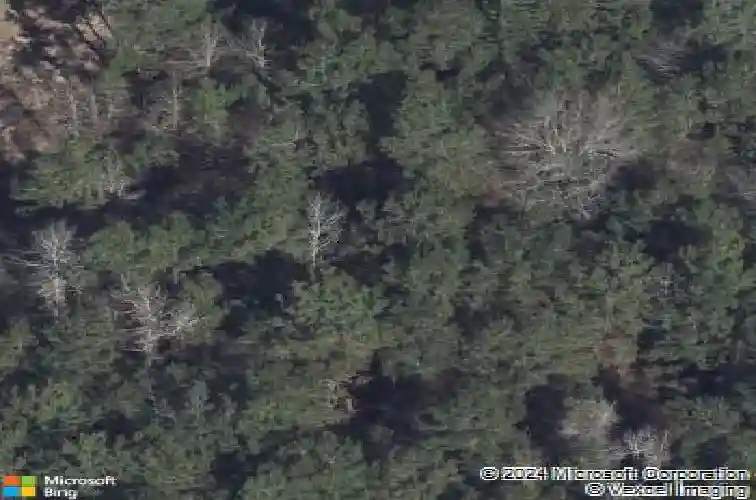  montgomery,  TX 77316