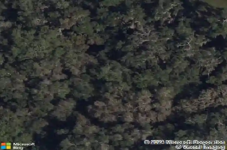 3099 melle pl, the villages,  FL 32163