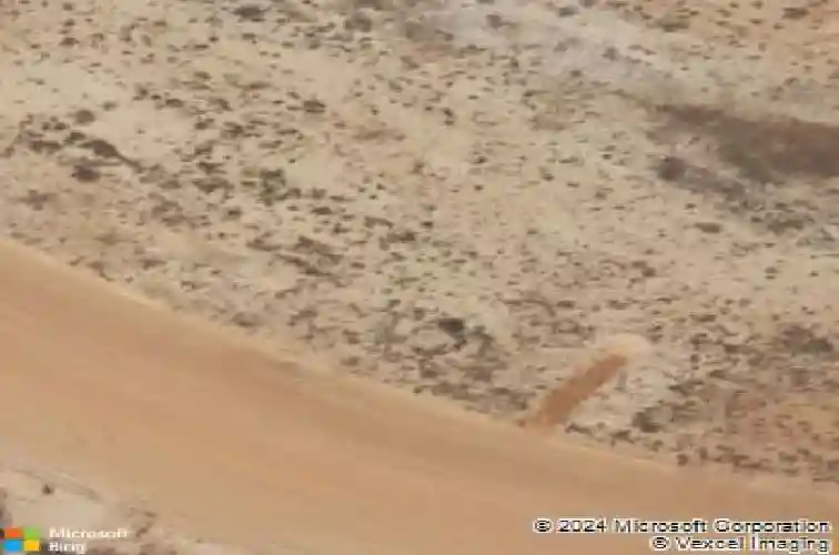 1954 detwiler ln, the villages,  FL 32163