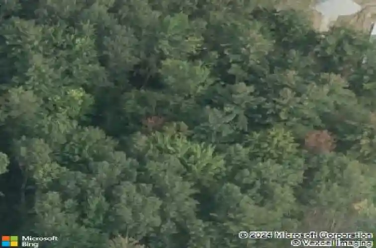 7 espen pl, schenectady,  NY 12309