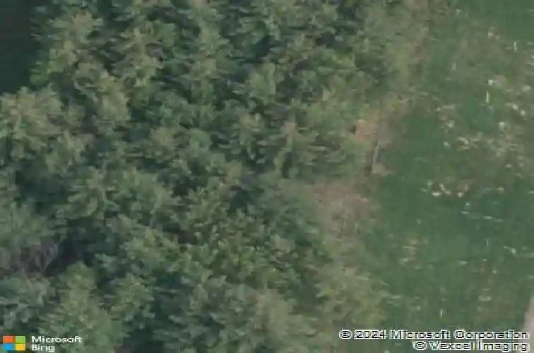 21 bergen pl, schenectady,  NY 12309