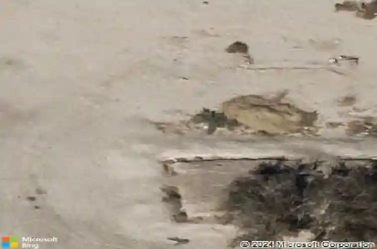  las vegas,  NV 89115