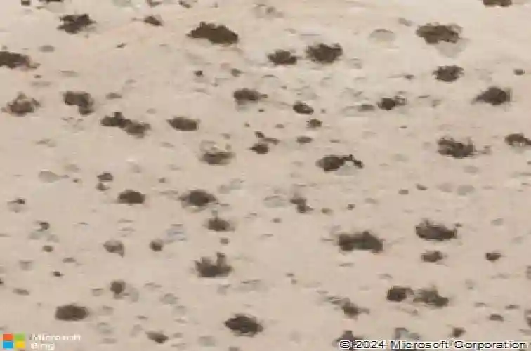  las vegas,  NV 89183