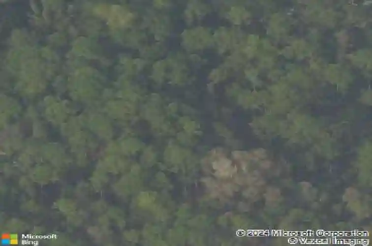  jensen beach,  FL 34957