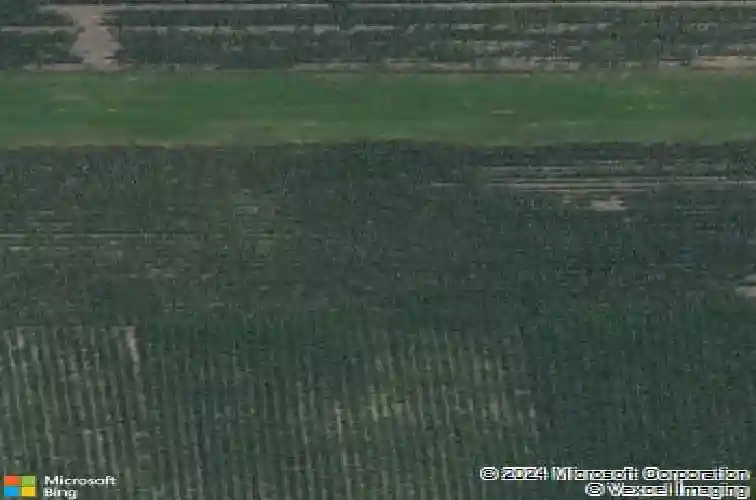 239 hackberry dr, palo,  IA 52324