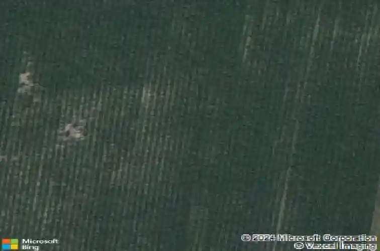 922 juneberry dr, palo,  IA 52324