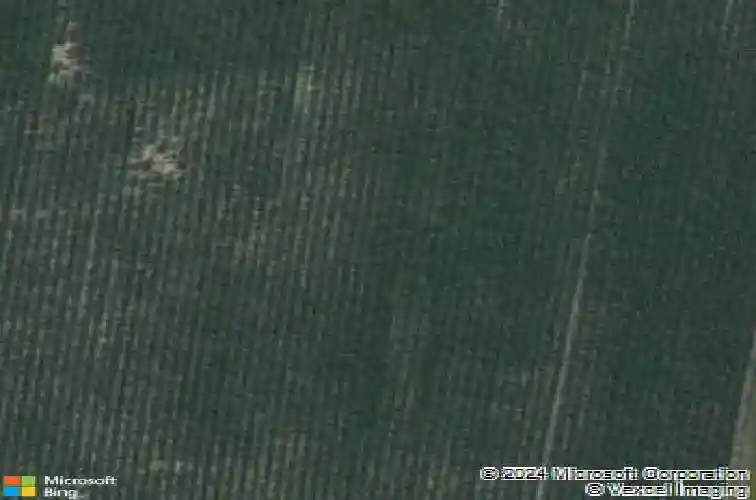 918 juneberry dr, palo,  IA 52324